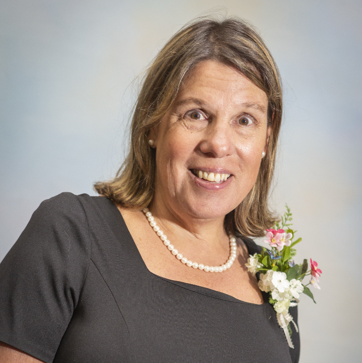 Sue McGonigle, Historian